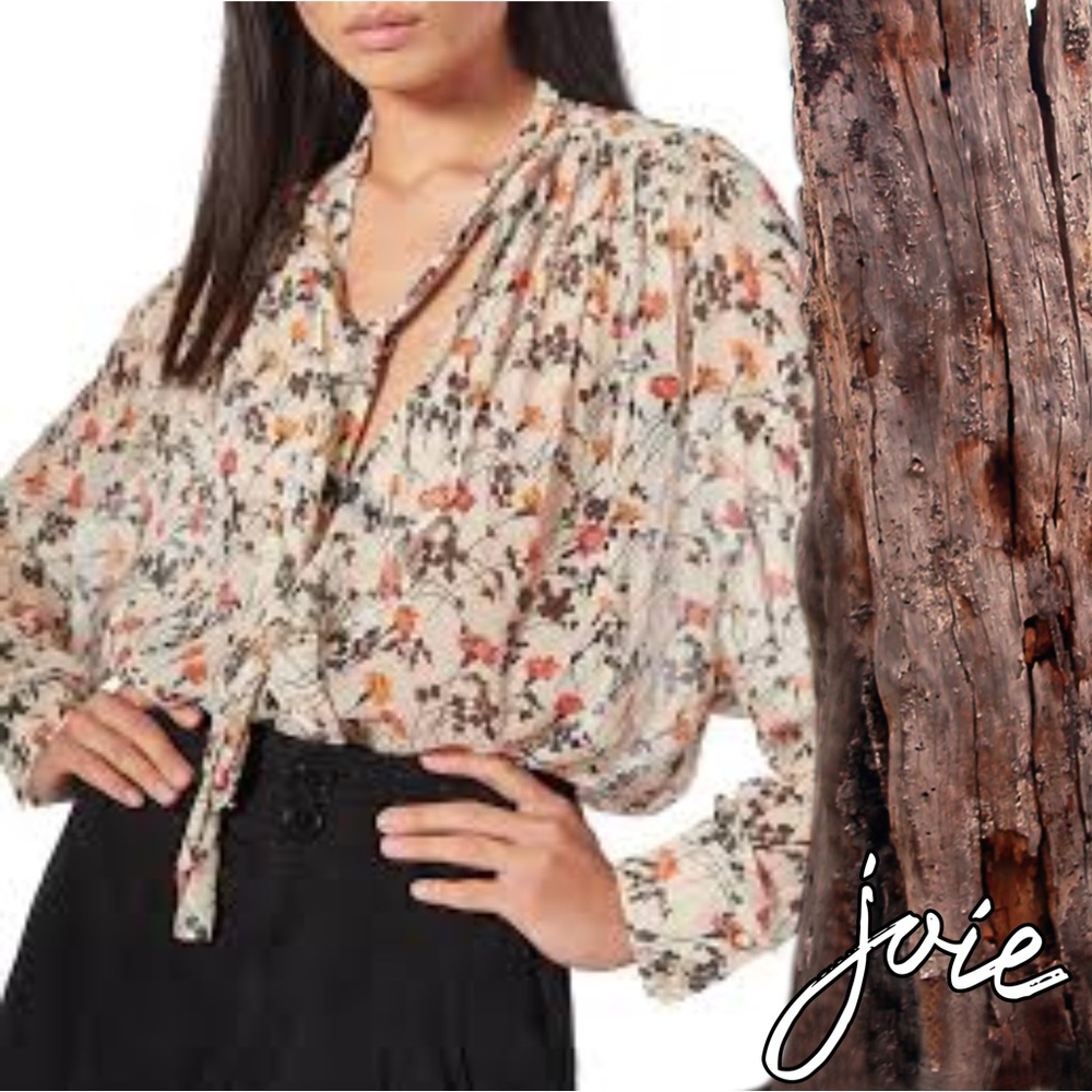 JOIE Maiza Silk Floral Boho Blouse
